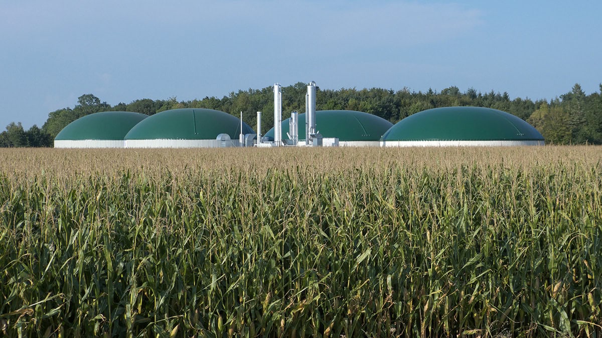 Moderne Biogasanlage inmitten eines Getreidefelds, genutzt zur nachhaltigen Energieerzeugung in der Landwirtschaft.
